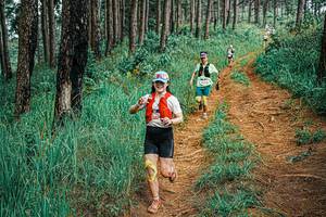 BIB: 
                            <button type="button" onclick="openModal(25652260)" class="btn btn-primary btn-sm float-right btn-popup" data-toggle="modal" data-target=".modal-high-quality">
                        <i class="fas fa-shopping-cart"></i> Add to Cart
                    </button>
                                            <button type="button" onclick="isThisMe(25652260, true)" class="btn btn-success btn-sm float-right btn-popup btn-isme hidden" data-toggle="tooltip" data-placement="bottom" title="นี่คือรูปของคุณใช่ไหม คลิกที่นี่เพื่อเอาเข้าอัลบั้ม">
                        <i class="fas fa-plus"></i> Add to album
                    </button>
                    <button type="button" onclick="isThisMe(25652260, false)" class="btn btn-warning btn-sm float-right btn-popup btn-isnotme hidden">
                        <i class="fas fa-ban"></i> Remove from album
                    </button>